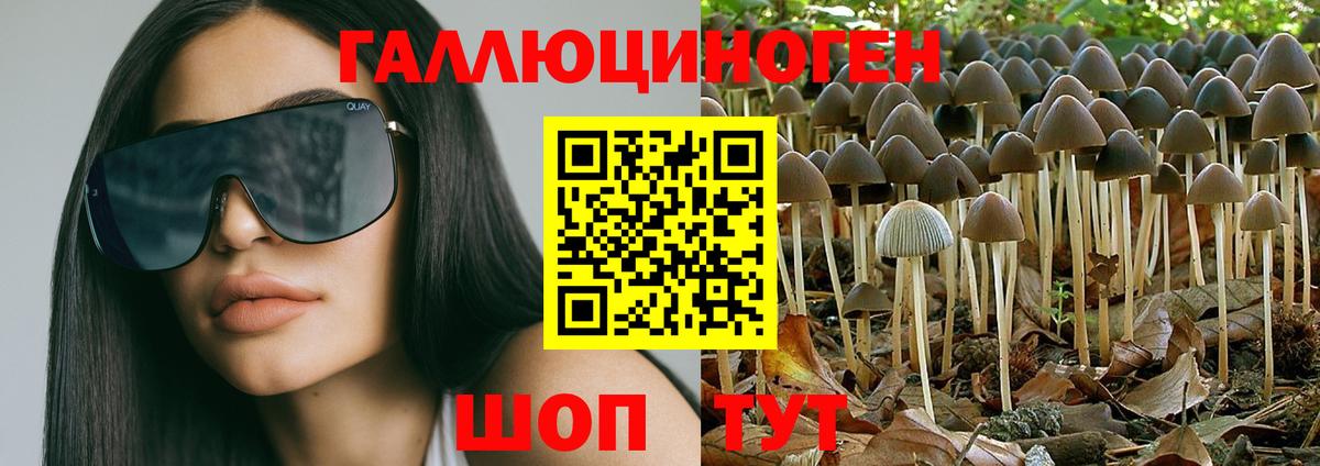 Псилоцибиновые грибы GOLDEN TEACHER Домодедово