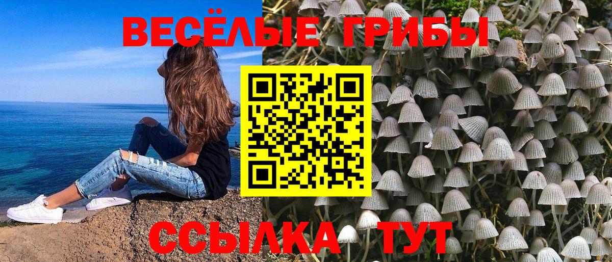 Галлюциногенные грибы ЛСД  Псилоцибиновые грибы прущие грибы  Домодедово  Вход с VPN 